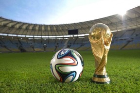 FIFA World Cup 2026赛事概览-莱万多夫斯基，从冠军之王到争议旋涡的悲歌